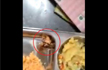 Cockroach in Indira Canteen meal